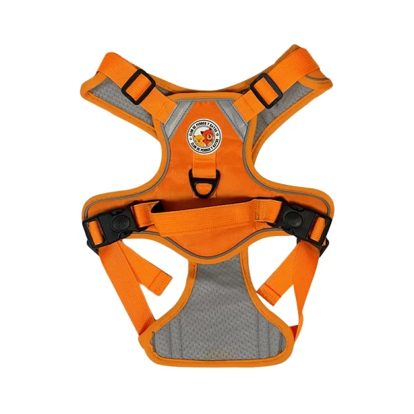 Harness Walking Paws