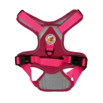 Harness Walking Paws