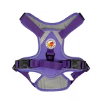 Harness Walking Paws
