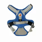 Harness Walking Paws