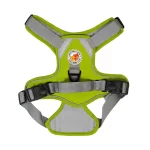 Harness Walking Paws