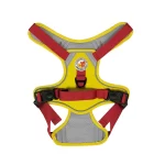 Harness Walking Paws