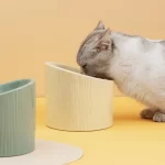 Bowl De Cerámica Ergonómico Diseño Tronco 