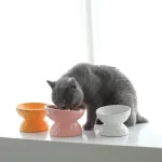 Bowl De Cerámica Ergonómico Rustico