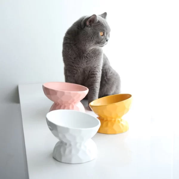 Bowl De Cerámica Ergonómico Rustico