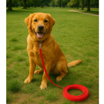Correa Para Mascota 5-10 Metros
