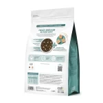 Catit Recipes Senior