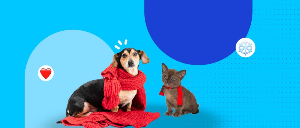 Cambio de temporada: ¿Tu mascota siente frío?