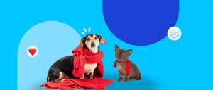 Cambio de temporada: ¿Tu mascota siente frío?