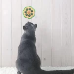 Juguete Para Gato Diseño Flor Con Catnip