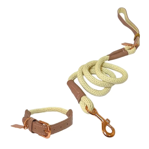 Collar Más Correa Kensie Talla M