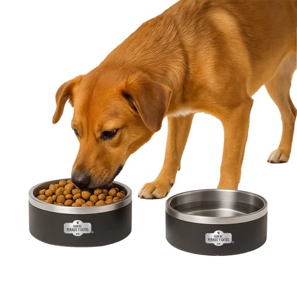 Plato Paws Bowl