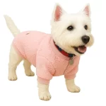 Poleron Warmy Paws