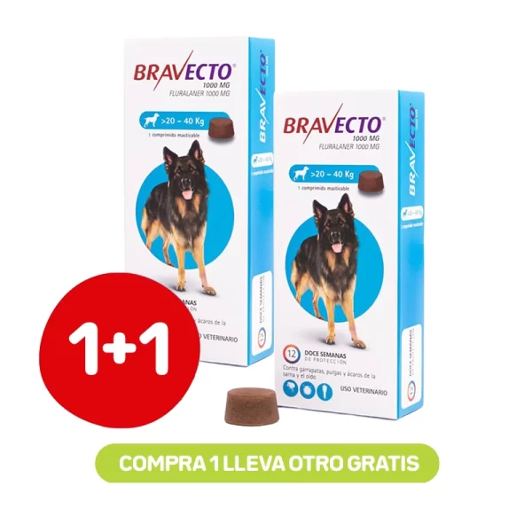 Pack 1+1 Bravecto 3M Perros 20 a 40 kg