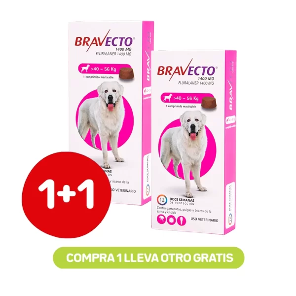 Pack 1+1 Bravecto 3M Perros 40 a 56 kg