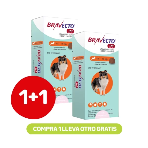 Pack 1+1 Bravecto para Perros 1M 4,5 a 10 kg