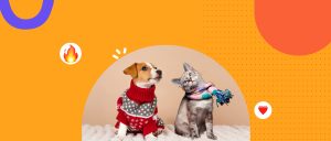 Mascotas y calefacción: cómo mantenerlas seguras y cómodas en invierno