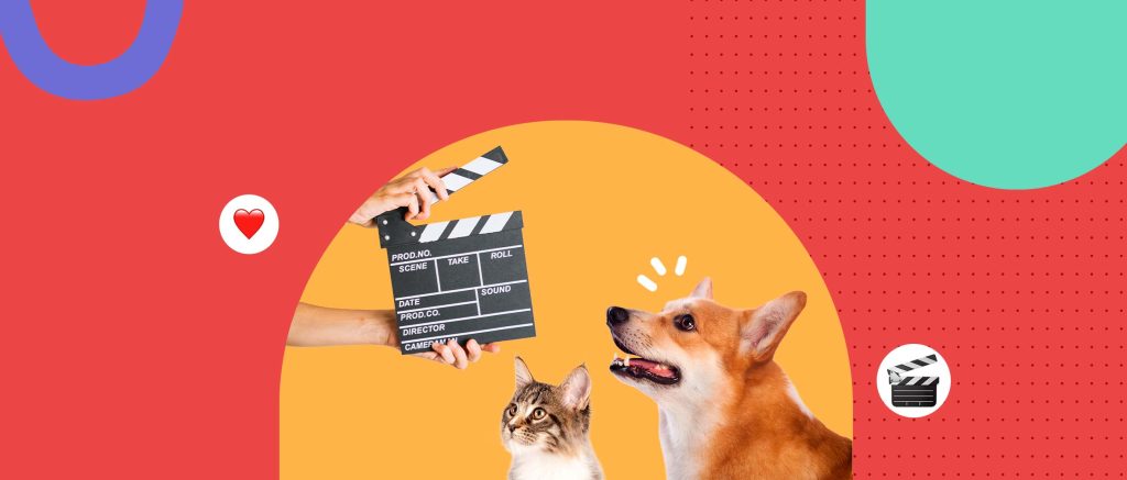 Películas para ver con tu mascota: historias sobre el vínculo humano-animal