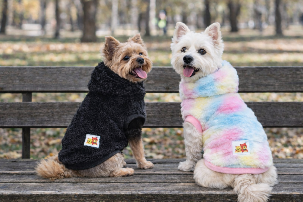 Abrigos para perros: cuándo ayudan y cuándo evitar