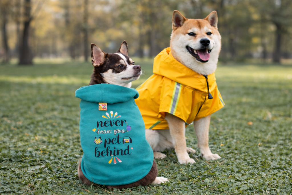 Abrigos para perros: cuándo ayudan y cuándo evitar