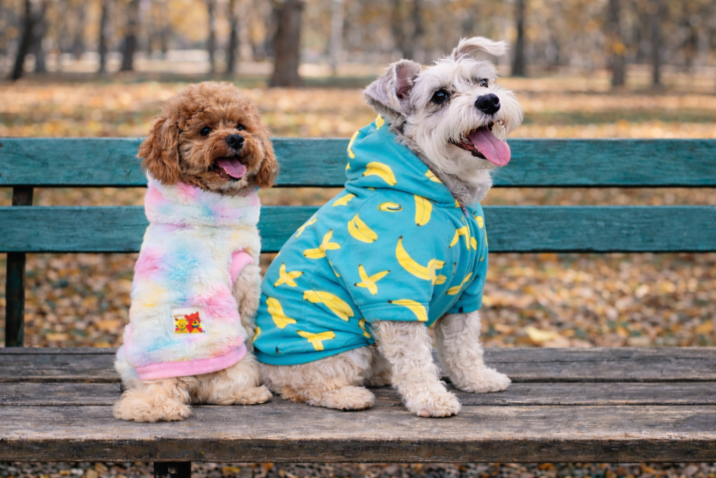 Abrigos para perros: cuándo ayudan y cuando evitar.