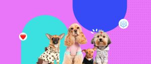 Abrigos para perros: cuándo ayudan y cuándo perjudican