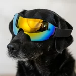 Gafa Solar Protección UV Para Mascota