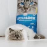 Odour Lock Arena 12 Kg