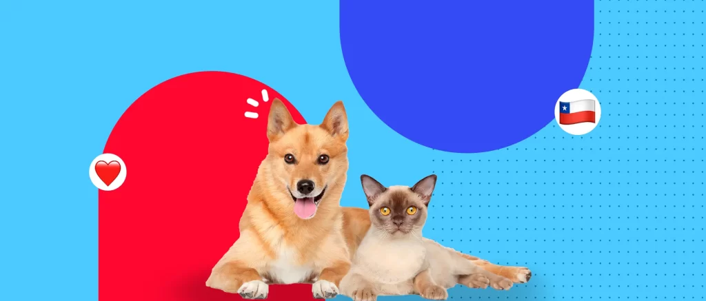 ¿Cómo preparar a tu mascota para la transición al calor y Fiestas Patrias?