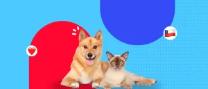 ¿Cómo preparar a tu mascota para la transición al calor y Fiestas Patrias?