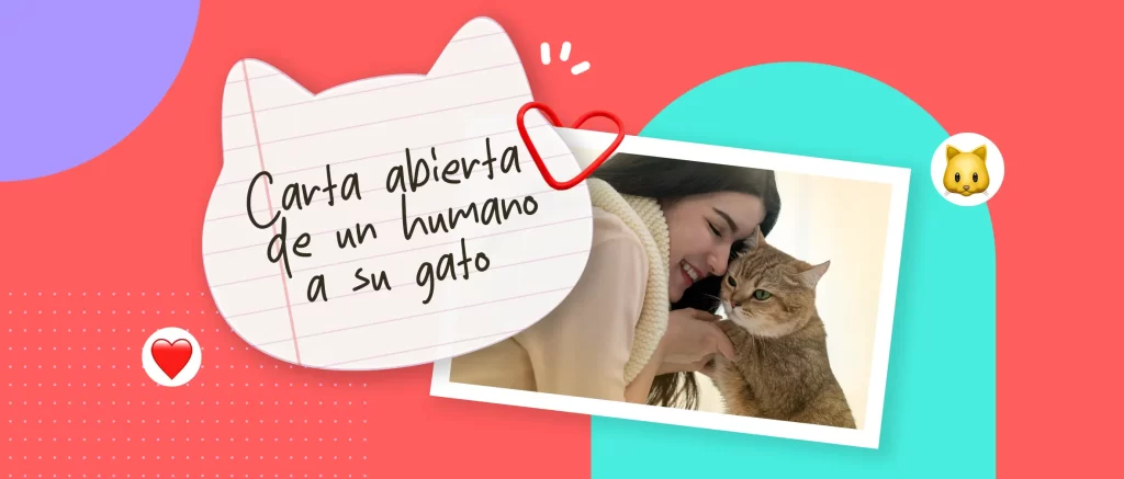 “Gracias por existir”: Carta abierta de un humano a su gato