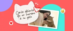 “Gracias por existir”: Carta abierta de un humano a su gato