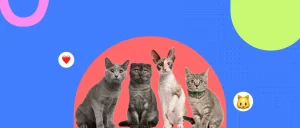¿Por qué agosto es el mes de los gatos?