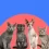 ¿Por qué agosto es el mes de los gatos?