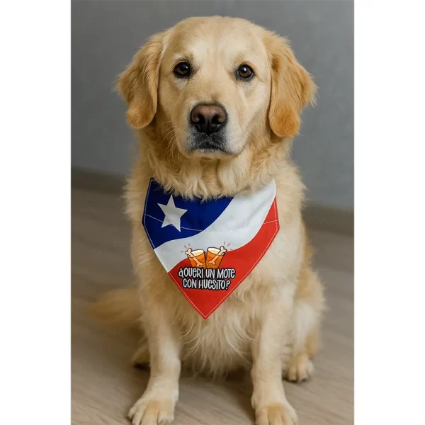 Bandana ¿Queri Un Mote Con Huesito?