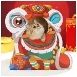 Rasguñador Para Gato Diseño Dragon 