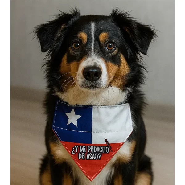Bandana ¿Y Mi Pedacito De Asao?