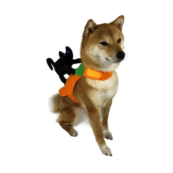 Disfraz Calabaza Con Gato