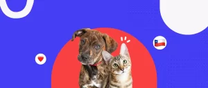 Fiestas Patrias con patas felices: cómo evitar emergencias veterinarias este 18