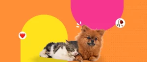 ¿Existe la “primavera gris” en mascotas? Lo que dicen los expertos