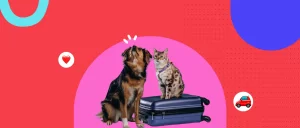 Vacaciones seguras y felices con tu perro o gato: lo indispensable si sales fuera de tu Ciudad
