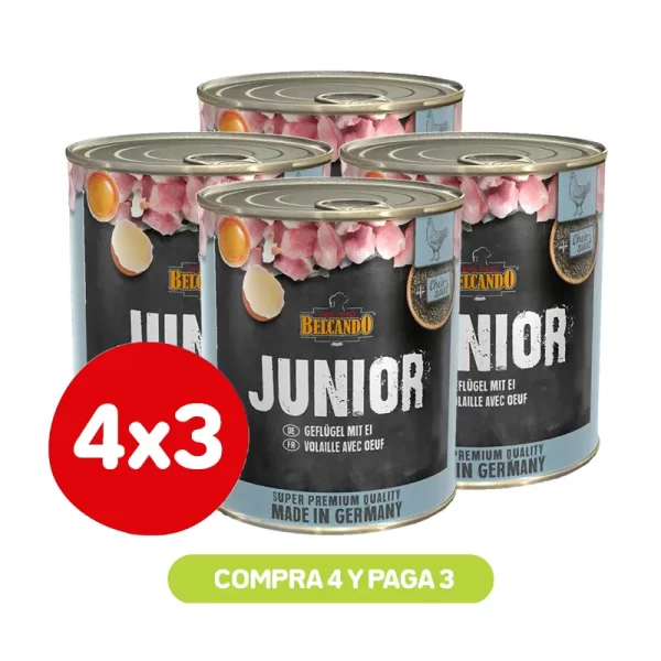 Pack 4X3 Belcando Junior Ave Y Huevo 400G