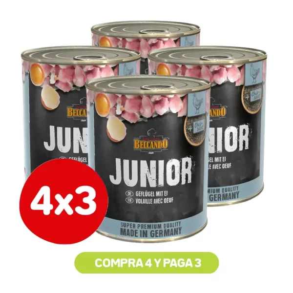 Pack 4X3 Belcando Junior Ave Y Huevo 800G