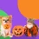 Halloween sin terror para perros y gatos: cómo cuidarlos en una noche llena de estímulos