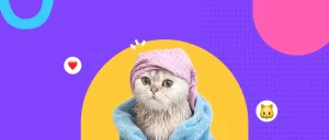 ¿Los gatos odian el agua? Mitos y realidades