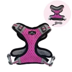 Arnes Malla Con Correa