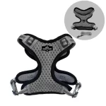 Arnes Malla Con Correa