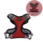 Arnes Malla Con Correa