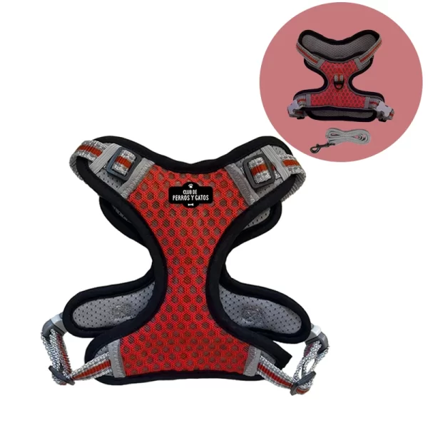 Arnes Malla Con Correa