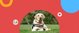 El rol de los perros guía en la inclusión de personas con discapacidad: avances en Chile